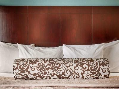 Western Inn&suites Katy